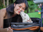Action for Singapore Dogs Jazz For Dogs 2023
