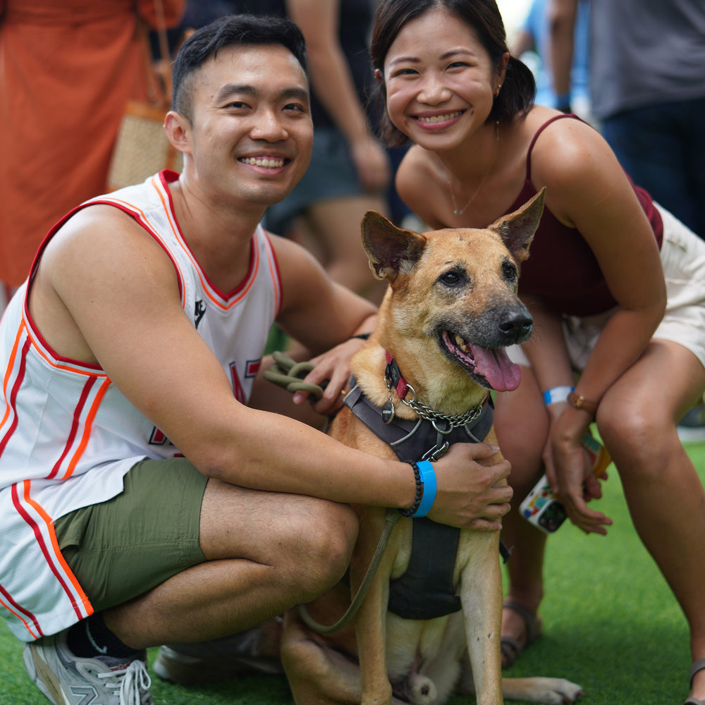 Action for Singapore Dogs 20th Birthday Fundraiser