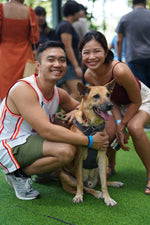 Action for Singapore Dogs 20th Birthday Fundraiser