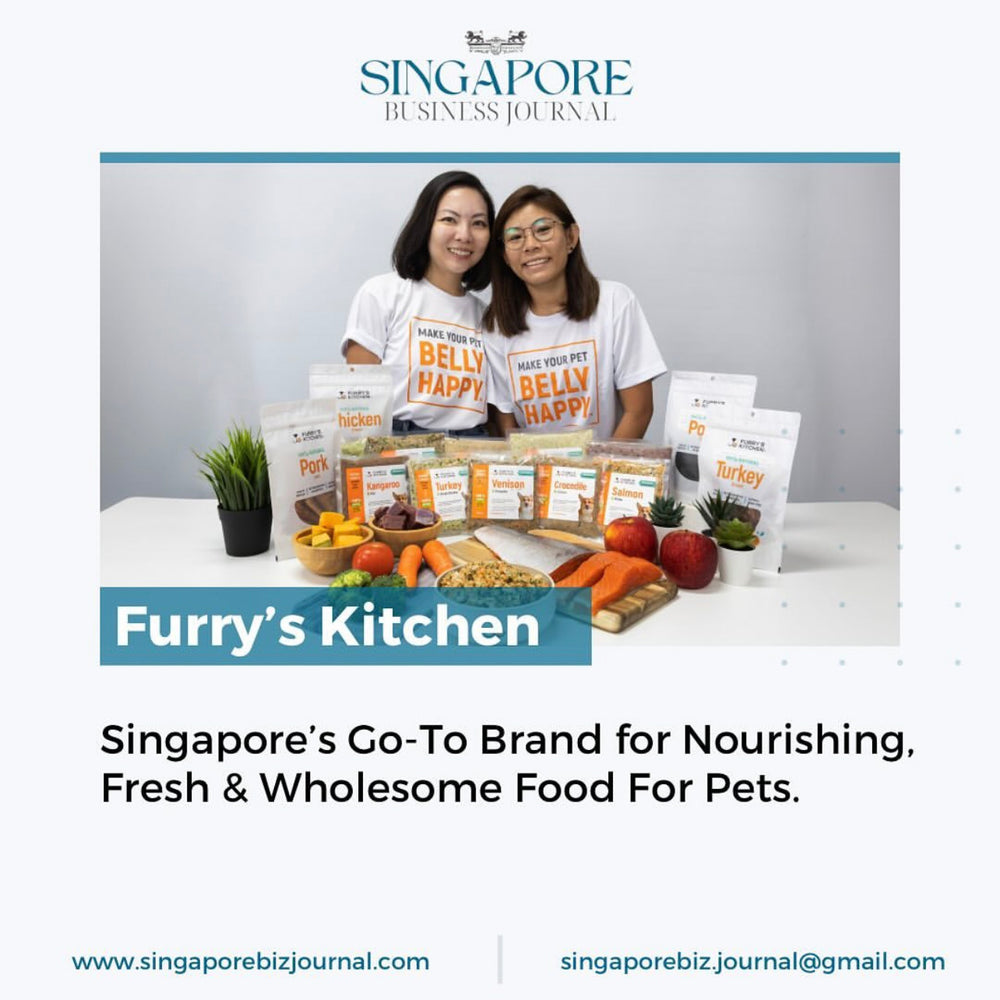 Singapore’s Go-To Brand for Nourishing, Fresh & Wholesome Food For Pets