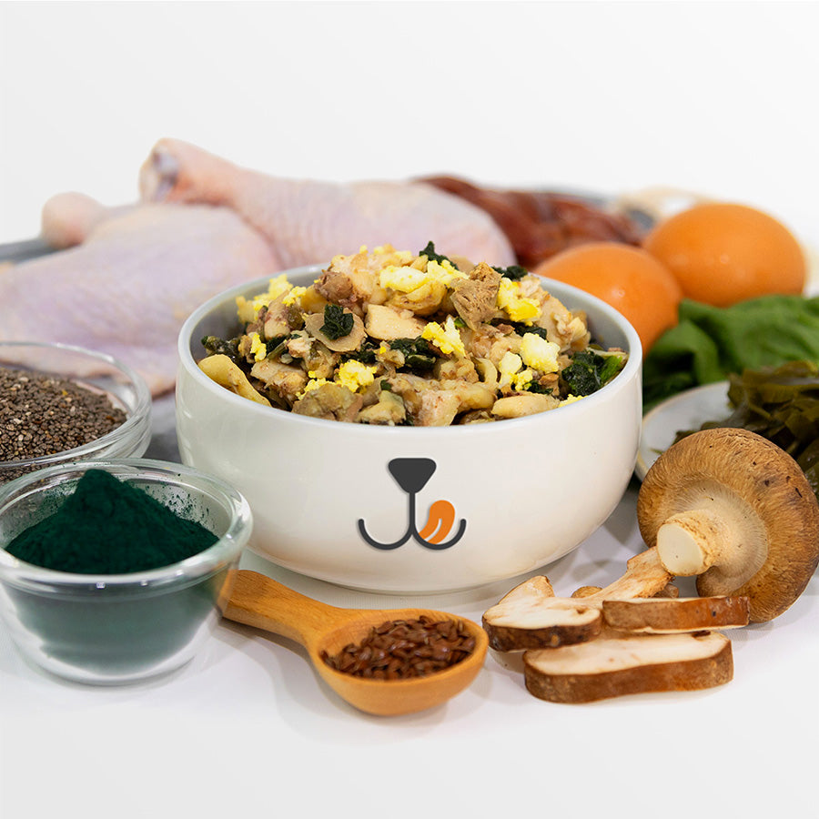 Chicken Fresh Cat Food Furry's Kitchen