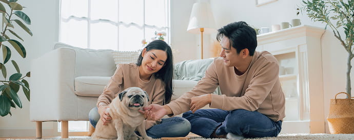 What Pawrents Are Actually Noticing